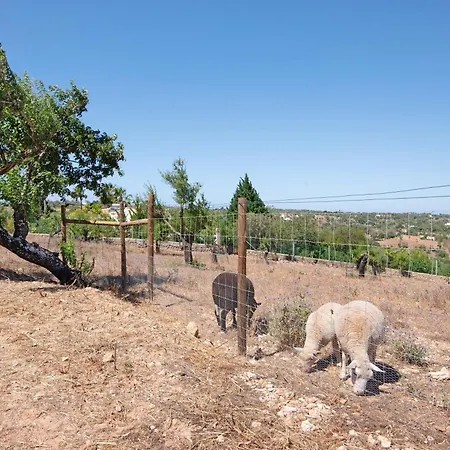 Dom wakacyjny Monte Do Pataco Albufeira