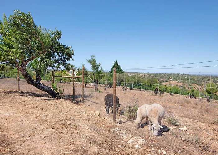 別荘 Monte Do Pataco アルブフェイラ